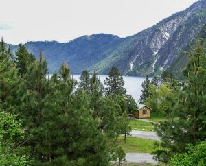 green pine trees surround a lakeside wooden cabin