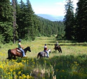 Mountain Horse Adventures in Sandpoint, Idaho