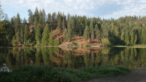 pine trees reflect in Spirit Lake