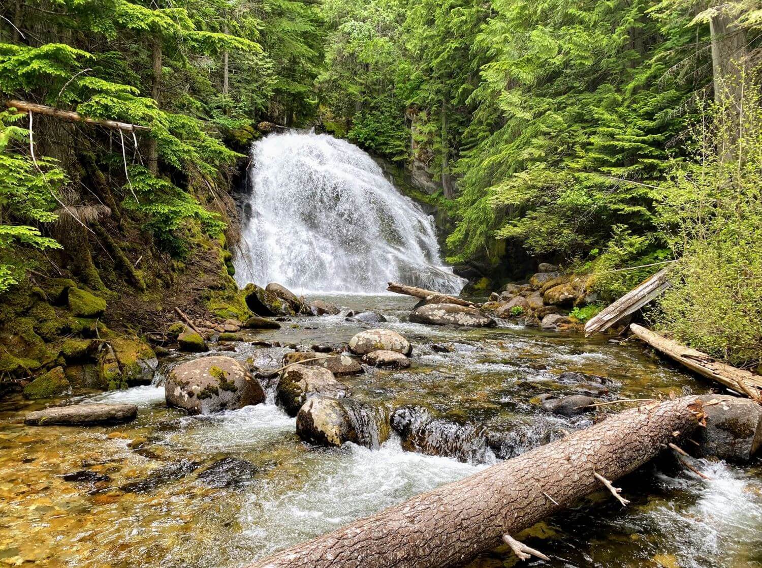 A glimpse deep into the Selkirk Mountains near Bonners Ferry, where the Snow Creek Falls splash into stones as western red cedar and ponderosa pine trees soar around the area.