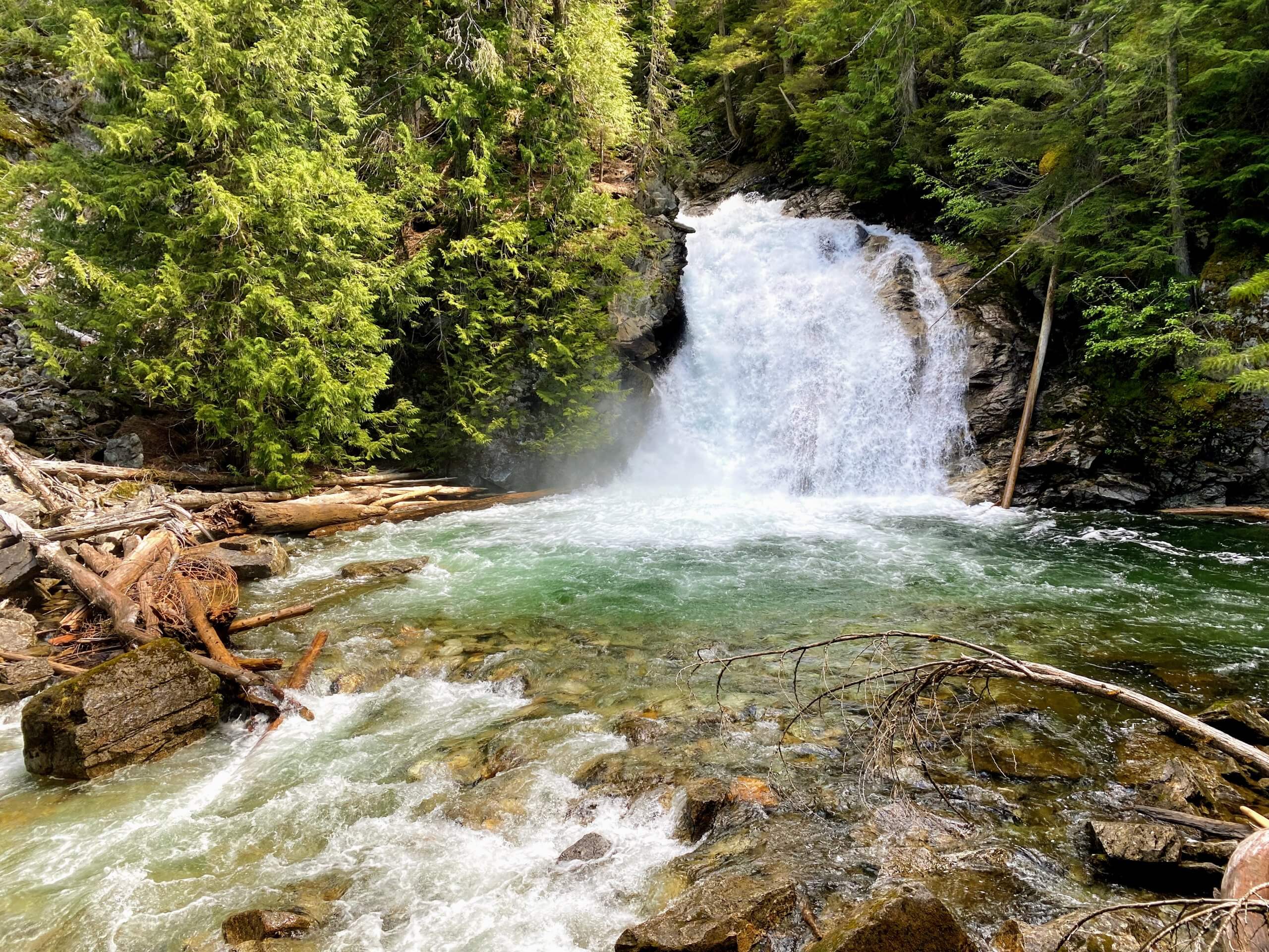 The American Falls tumble 40 feet from the Upper Priest River into a rocky pool through the old-growth forest in the Salmo-Priest Wilderness Area in Idaho.