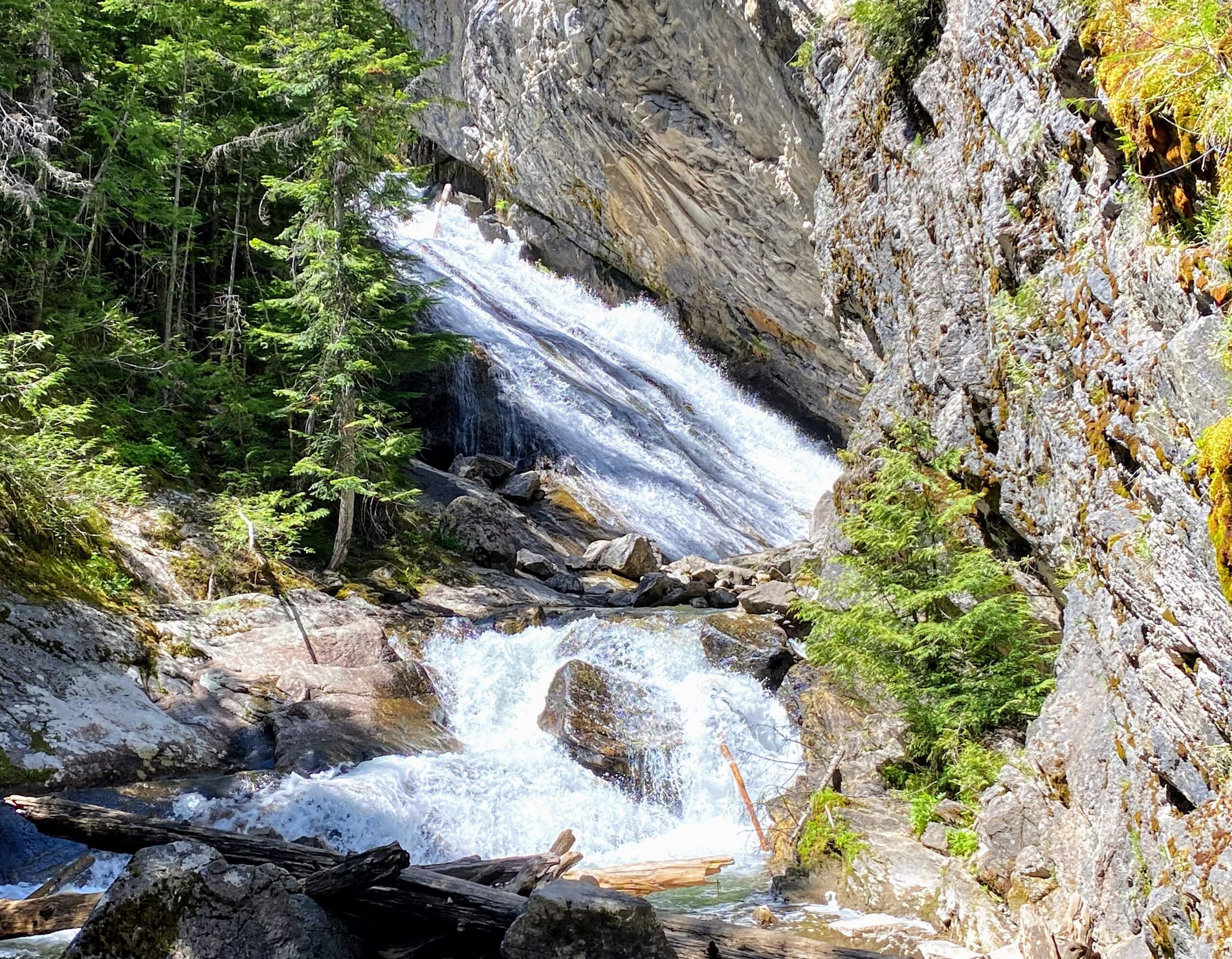 The Granite Falls tilt sideways, splashing down the rugged mountain surrounded by 3,000 year-old cedar trees.