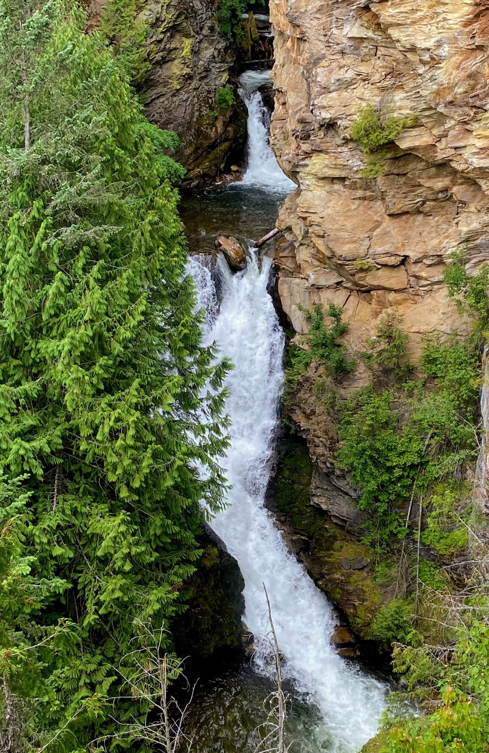 The Myrtle Falls tumble down 100 feet, plunging between rugged landscape and dense green trees.