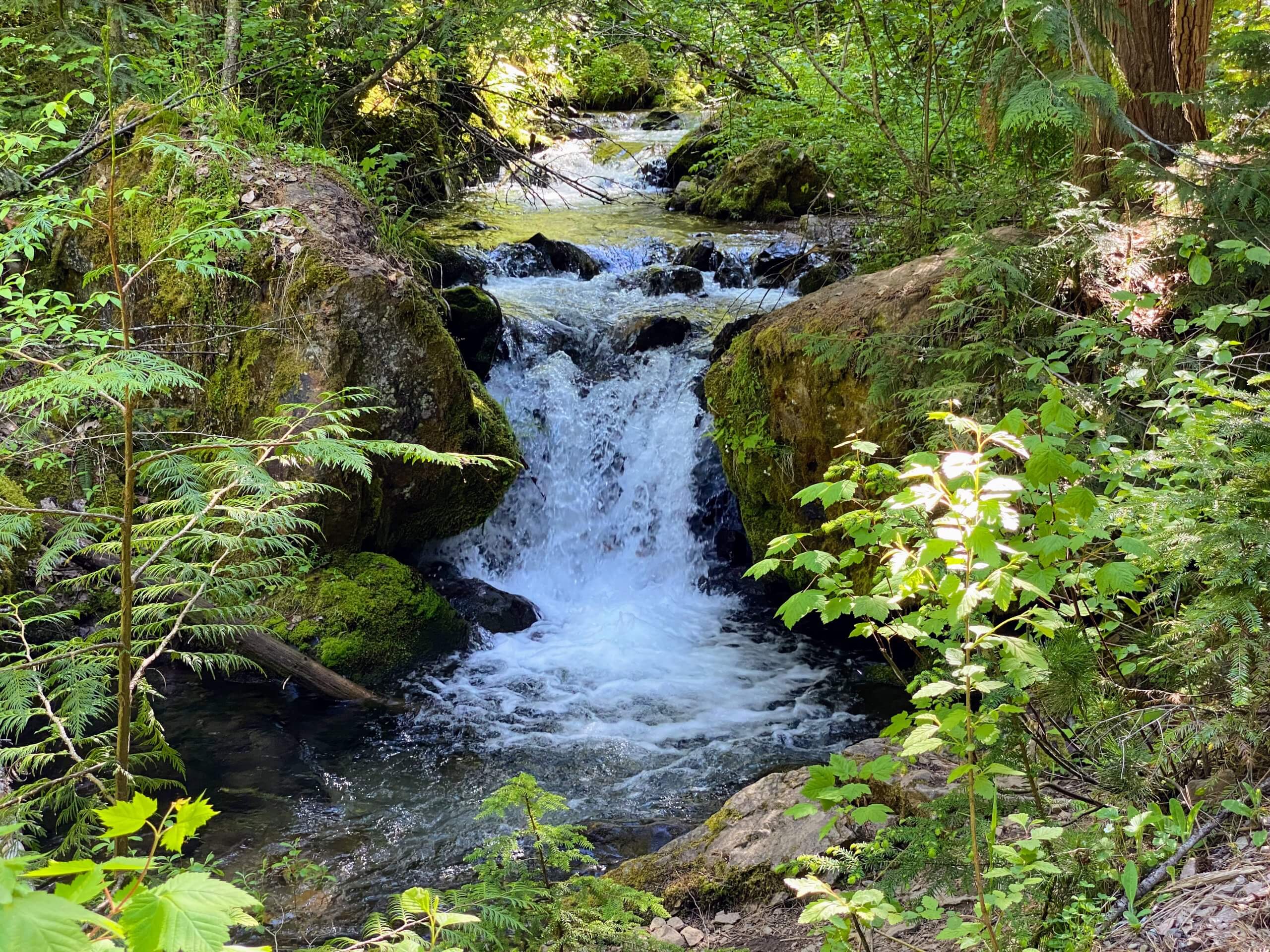 The waterfall splashes across the Pulaski Tunnel Trail near Wallace, surrounded by lush spruces, firs and ferns.