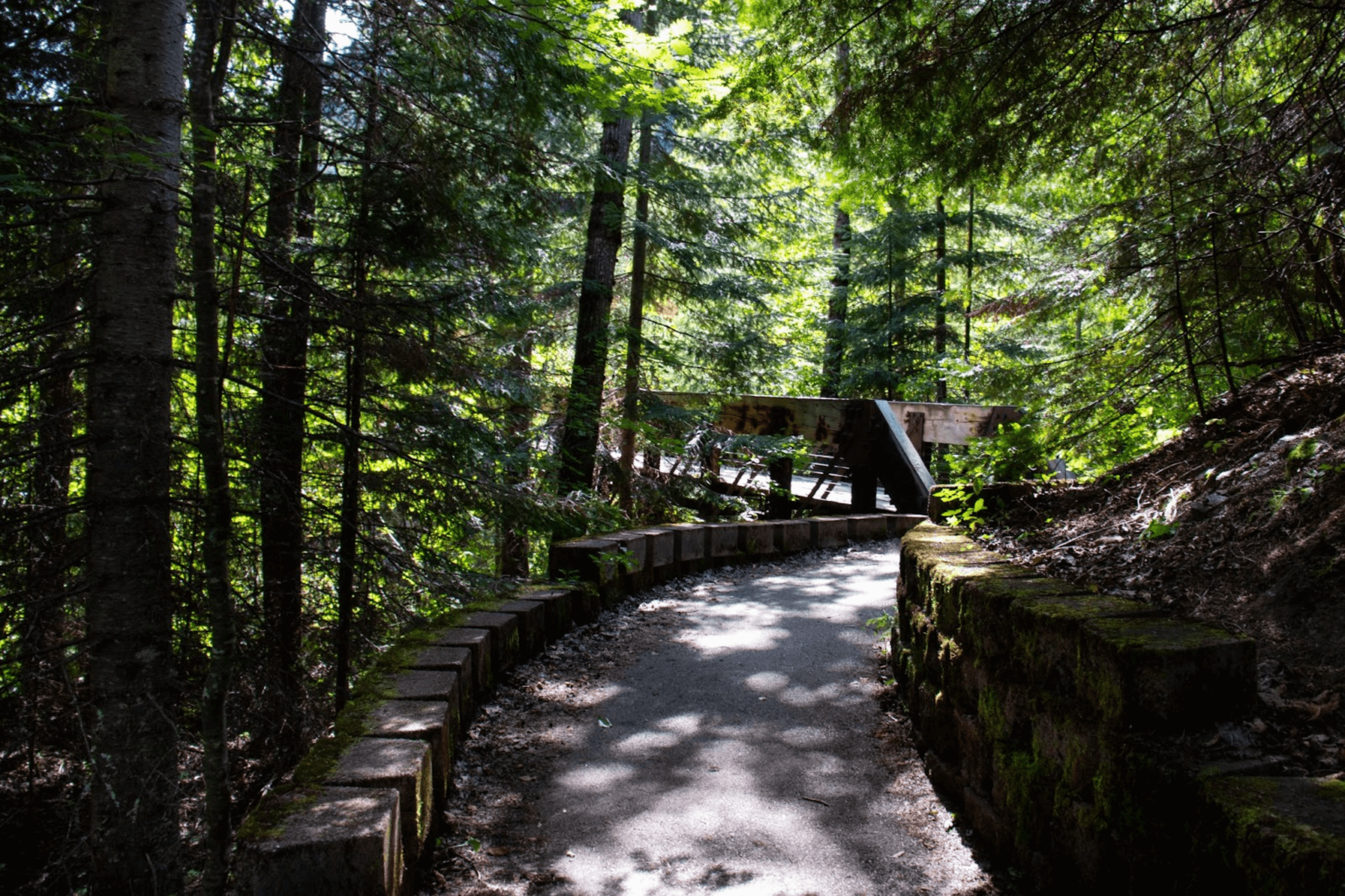 The paved Pulaski Tunnel Trail lined by short stone walls, winding through a dense forest of tall trees.