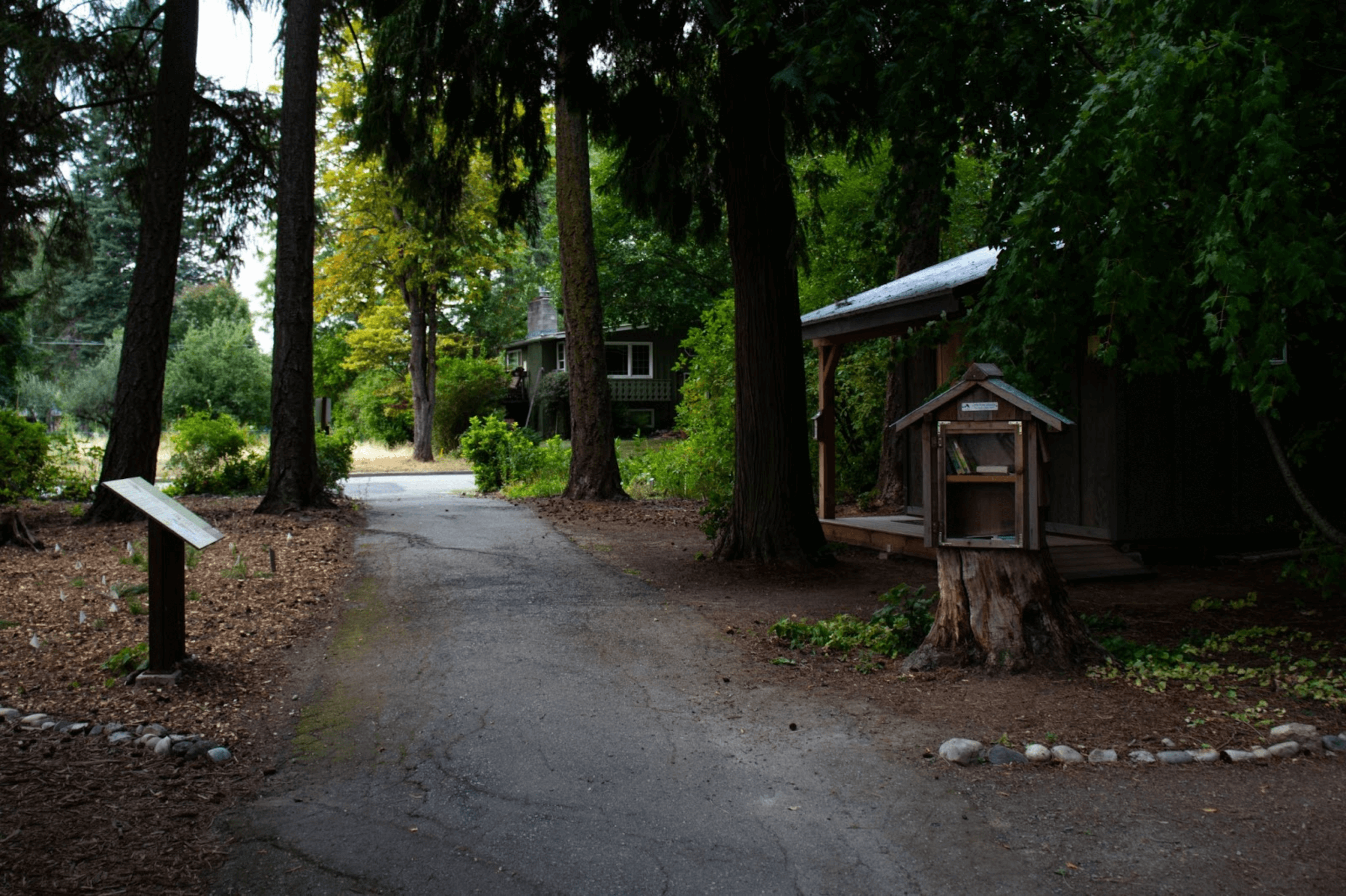 A paved trail leading past an interpretive trail sign, a take  a book, leave a book box made out of a tree stump and forest of tall trees at the Bonner County Historical Society & Museum Arboretum.