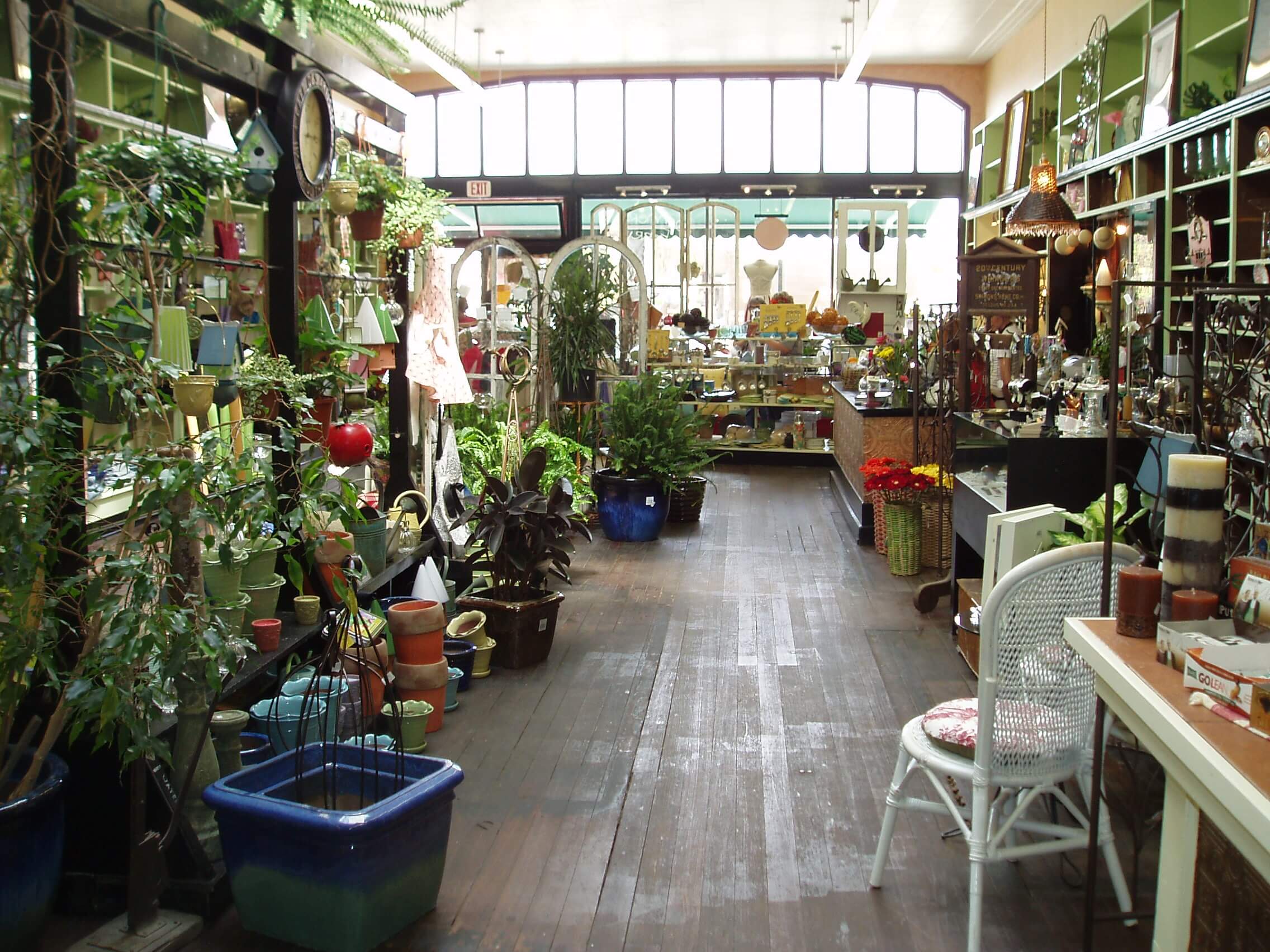 Several plants and flower pots on display inside the Under the Sun store.