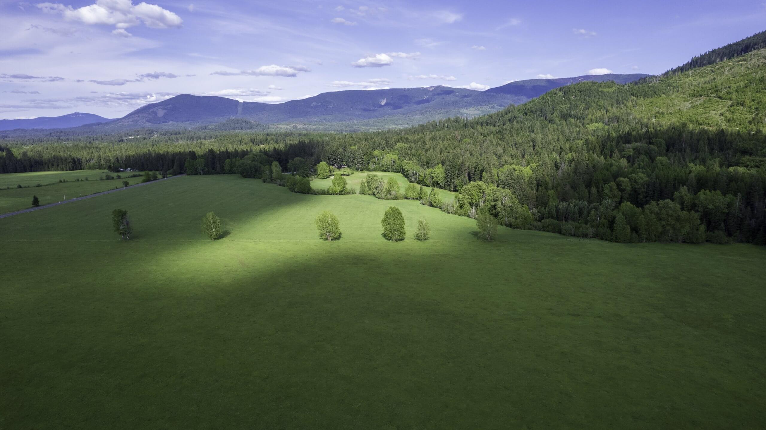 Aerial view of Cedar Mountain Farm showcasing expansive land, green fields, and surrounding trees.